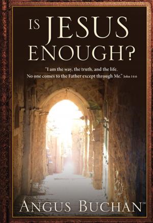 Cover of the book Is Jesus Enough? (eBook) by Carolyn Larsen