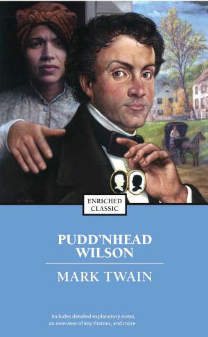 Cover of the book Pudd'nhead Wilson by Beth Kobliner