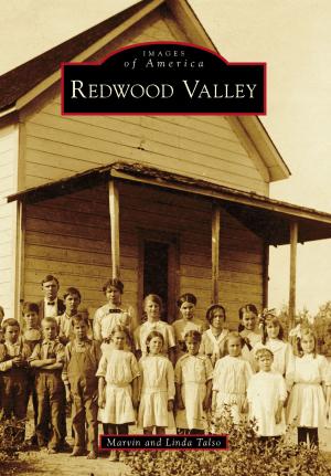 Cover of the book Redwood Valley by Vince McKee