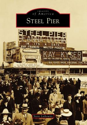 Cover of the book Steel Pier by nate clark, mez roche
