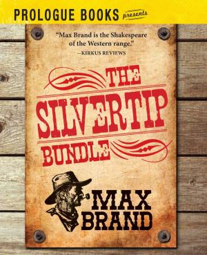 Cover of the book The Silvertip Bundle by Harry Whittington