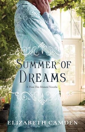 Cover of the book Summer of Dreams by Burt Boyar