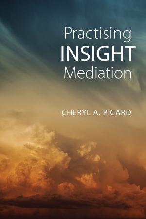 Cover of the book Practising Insight Mediation by Deanna K.  Kreisel