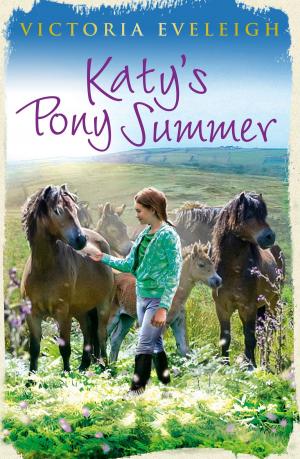 Cover of the book Katy's Pony Summer by Jean Ure