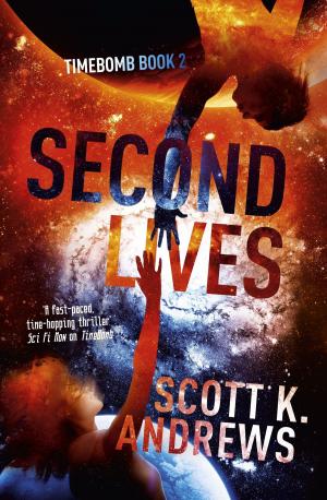 Book cover of Second Lives