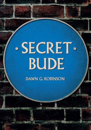 Cover of the book Secret Bude by Michael Meighan