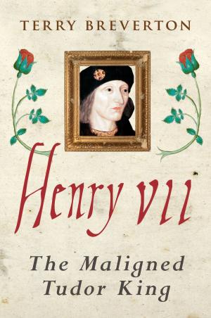 Cover of the book Henry VII by David Evans