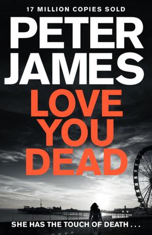 Book cover of Love You Dead