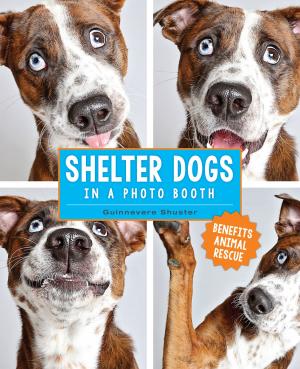 Cover of the book Shelter Dogs in a Photo Booth by Mark Tatulli