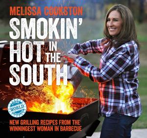 Cover of the book Smokin' Hot in the South by Laura Joffe Numeroff