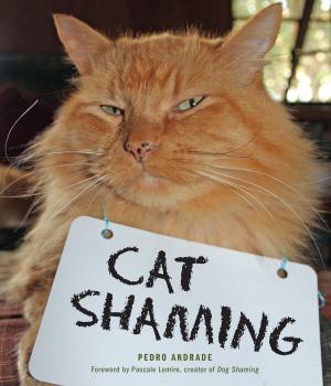 Cover of the book Cat Shaming by Sarah Ford
