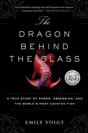 Cover of the book The Dragon Behind the Glass by Simon Lewis