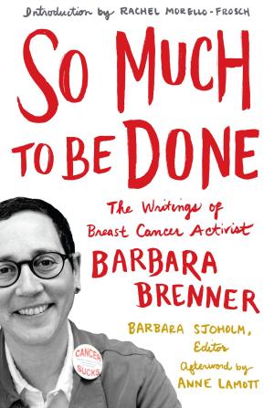 Cover of the book So Much to Be Done by Stephanie DeBoer