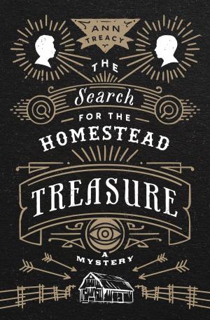 Cover of the book The Search for the Homestead Treasure by David J. Karjanen