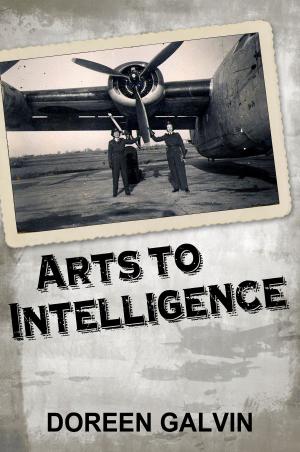 Cover of the book Arts to Intelligence by Okolo Chime Anianwu
