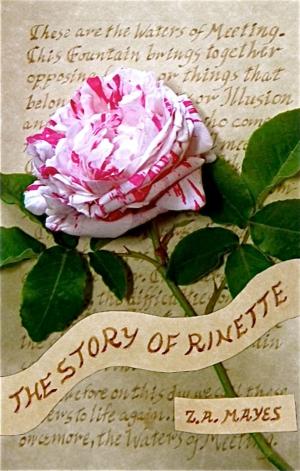 Cover of the book The Story of Rinette by Dennis Cummins