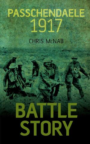 Cover of the book Passchendaele 1917 by Nathan Tidridge