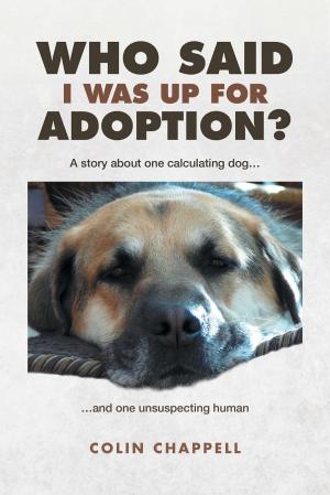 Book cover of Who Said I Was Up For Adoption?
