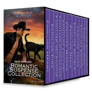 Cover of the book Fear Familiar: Romantic Suspense Collection by Rachel Brimble