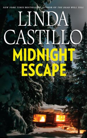 Cover of the book Midnight Escape by Brenda Mott
