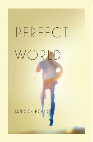 Cover of the book Perfect World by paulo da costa