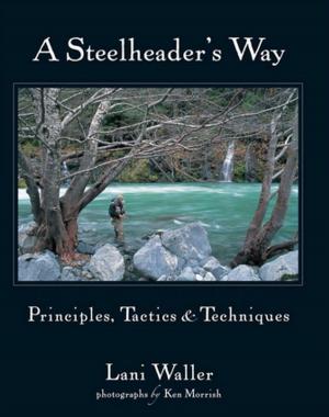 Book cover of A Steelheader's Way