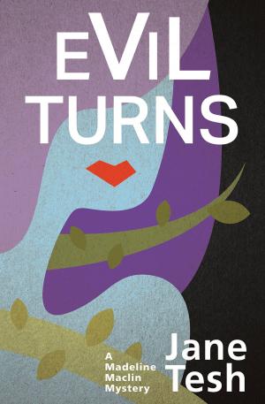 Cover of the book Evil Turns by Robin Kaye