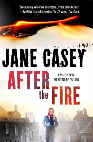 Cover of the book After the Fire by Jeffrey Cohen
