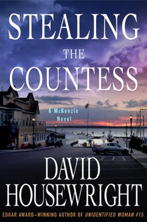 Cover of the book Stealing the Countess by Zoë François, Jeff Hertzberg, M.D.