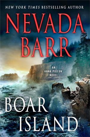 Cover of the book Boar Island by Christopher Sandford