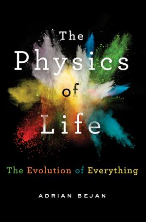 Cover of the book The Physics of Life by Damien Lewis