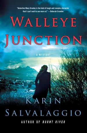 Cover of the book Walleye Junction by Keith Dunnavant
