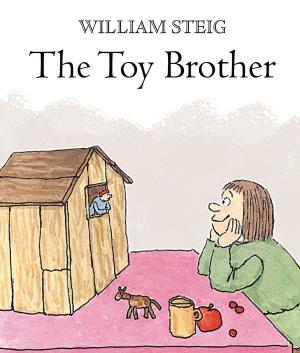 Cover of the book The Toy Brother by Bernard Malamud