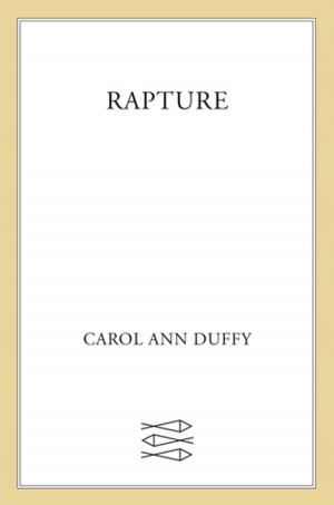 Cover of the book Rapture by Alastair Turnbull