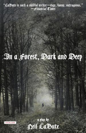 Cover of the book In a Forest, Dark and Deep by Council of Fashion Designers of America