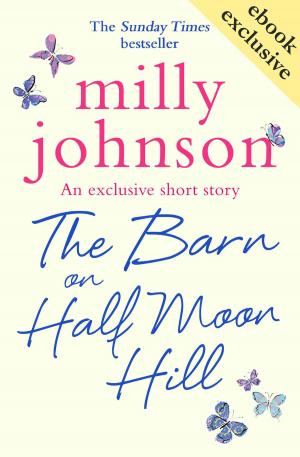 Cover of the book The Barn on Half Moon Hill by Barbara Rogan