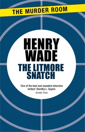 Book cover of The Litmore Snatch