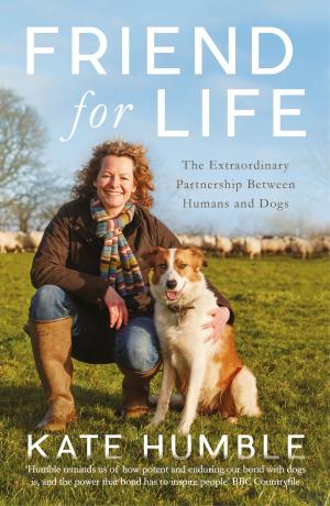 Cover of the book Friend For Life by Barbara Nadel