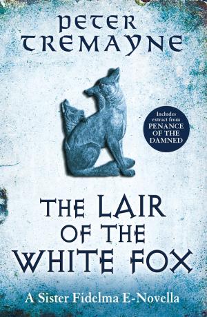 Cover of The Lair of the White Fox (A Sister Fidelma e-novella)