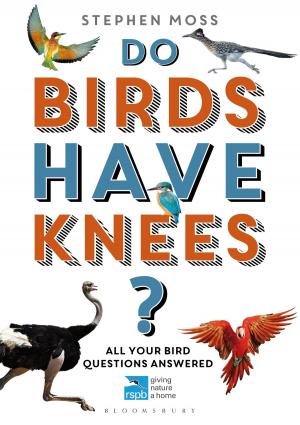 Cover of the book Do Birds Have Knees? by Annie Sparks, Annie Stephenson, David Bradby