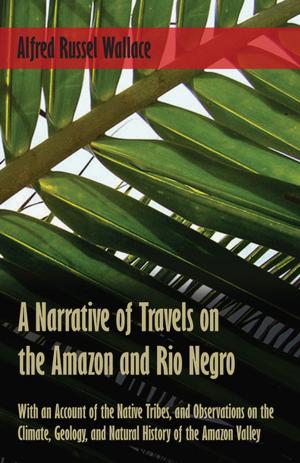 Cover of the book A Narrative of Travels on the Amazon and Rio Negro, with an Account of the Native Tribes, and Observations on the Climate, Geology, and Natural History of the Amazon Valley by Ephraim Porter Felt