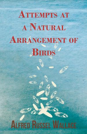 Cover of the book Attempts at a Natural Arrangement of Birds by Joseph Fleischman