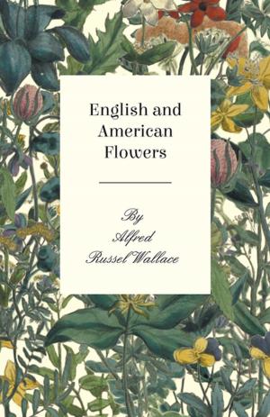Cover of English and American Flowers