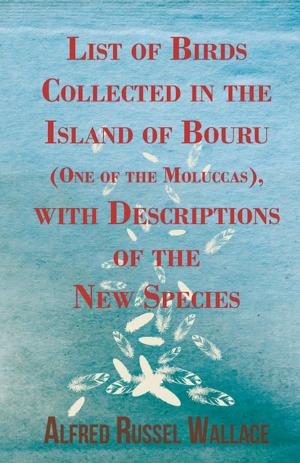 Cover of the book List of Birds Collected in the Island of Bouru (One of the Moluccas), with Descriptions of the New Species by Justin Burns