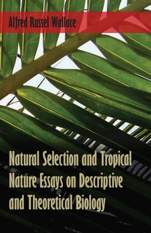 Book cover of Natural Selection and Tropical Nature Essays on Descriptive and Theoretical Biology