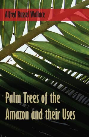 Cover of the book Palm Trees of the Amazon and their Uses by Alfred Russel Wallace