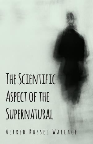 Cover of the book The Scientific Aspect of the Supernatural by Vitaliano Bilotta, Evolvenza