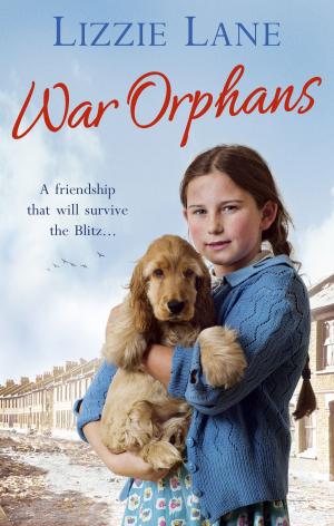 Cover of the book War Orphans by Good Food Guides