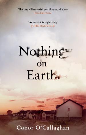 Cover of the book Nothing On Earth by Donncha O'Callaghan