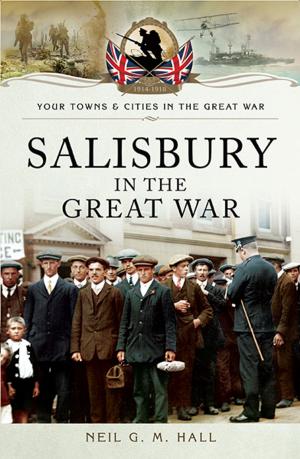 Cover of the book Salisbury in the Great War by David Christian